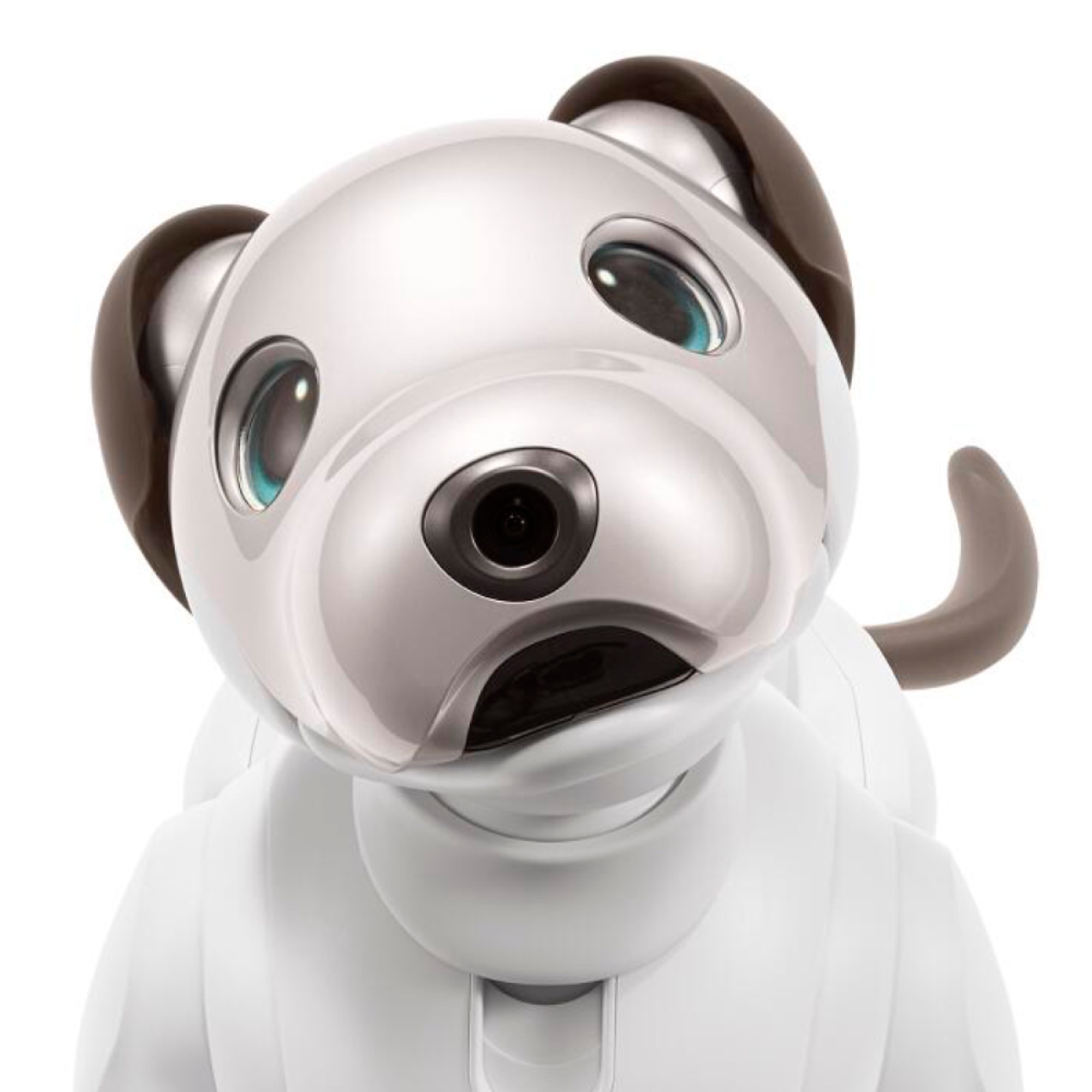 aibo 自律型エンタテインメントロボット(カラー:アイボリーホワイト)