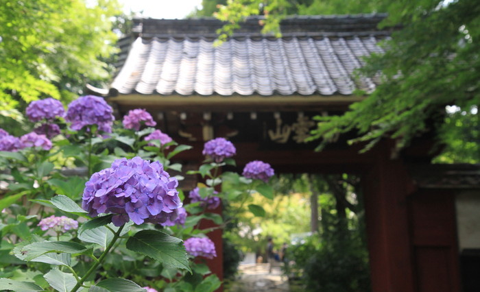 本光寺